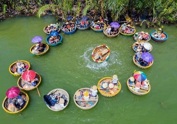 rừng dừa 7 mẫu rừng dừa 7 mẫu