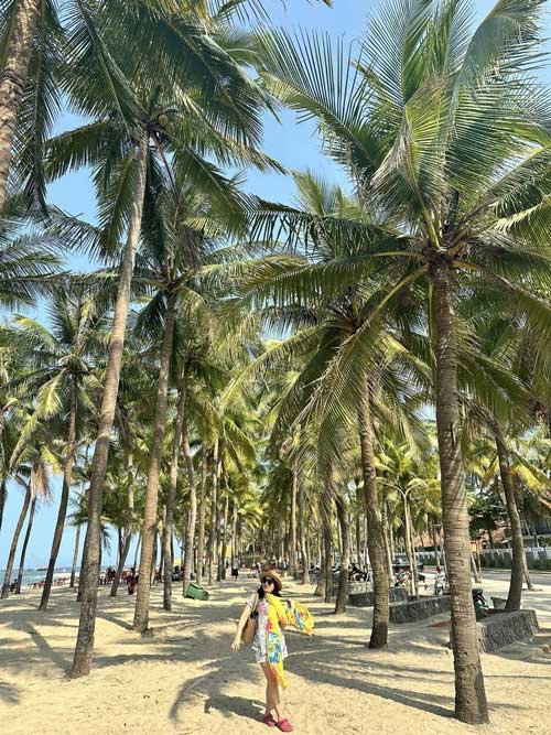 b&atilde;i biển cửa đại hội an